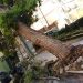 «Βομβαρδισμένο» τοπίο το Ηράκλειο από τη νεροποντή - Τραυματίες και καταστροφές (φωτο)