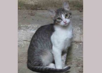 Η Μαρίνα ψάχνει καλή παρέα