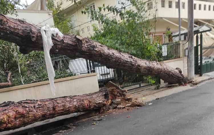 «Βομβαρδισμένο» τοπίο το Ηράκλειο από τη νεροποντή - Τραυματίες και καταστροφές (φωτο)