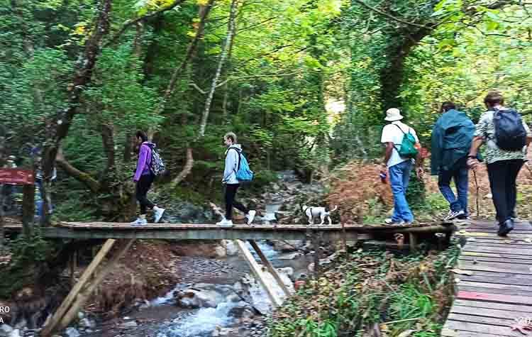 Πεζοπορία στην Ανοπαία Ατραπό διοργανώνει ο ΠΑΟΔΗΒ