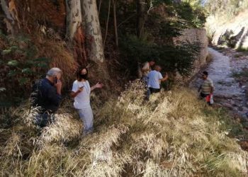 Αυτοψία της Περιφέρειας σε όλη τη Ρεματιά ενόψει χειμώνα