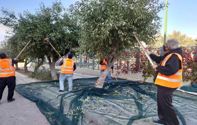 Ξεκίνησε το λιομάζωμα στην πόλη