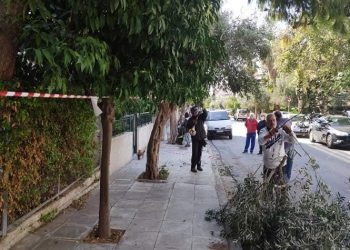 Σειρά εργασιών από την Υπηρεσία Πρασίνου και Καθαριότητας στην πόλη