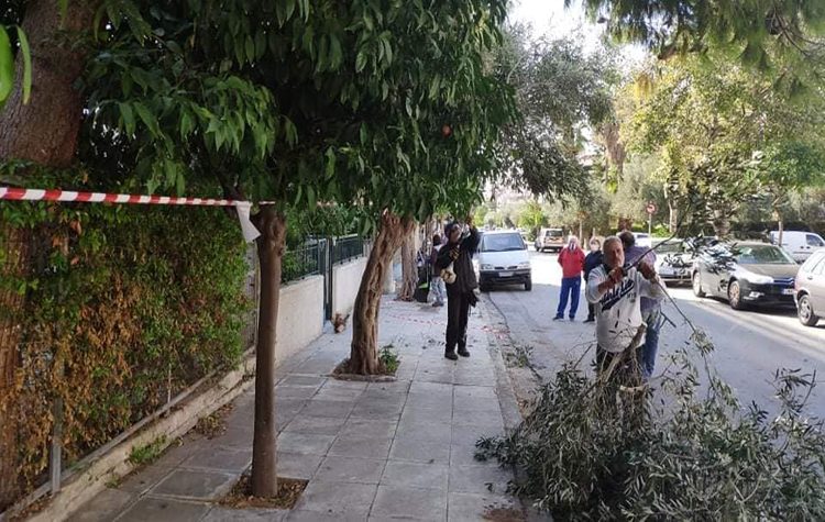 Σειρά εργασιών από την Υπηρεσία Πρασίνου και Καθαριότητας στην πόλη