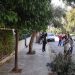 Σειρά εργασιών από την Υπηρεσία Πρασίνου και Καθαριότητας στην πόλη