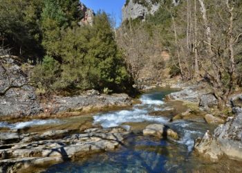 Συνεχίζουν οι Πεζοπόροι δραστήριοι και ασφαλείς