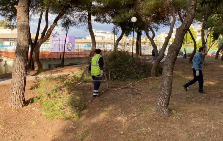 Στις επάλξεις ο Δήμος για τη φροντίδα του πρασίνου