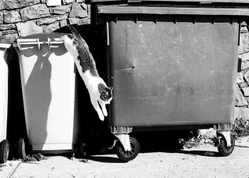 «Δράση»: «Οι φετινές επιδόσεις της δημοτικής Αρχής στην ανακύκλωση δεν προσφέρονται για πανηγυρισμούς»