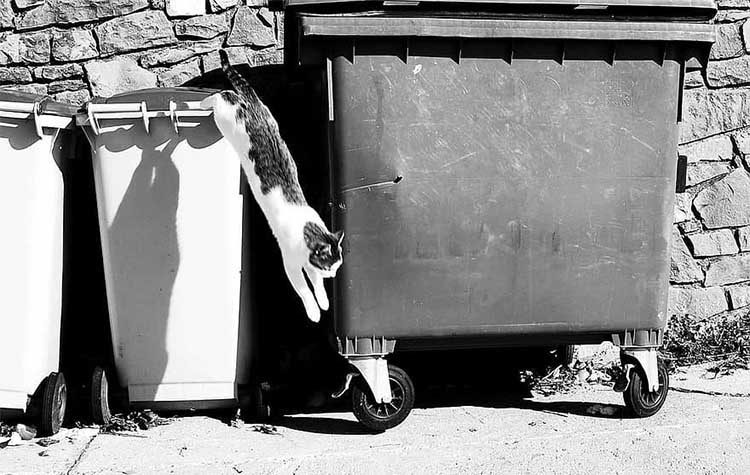 «Δράση»: «Οι φετινές επιδόσεις της δημοτικής Αρχής στην ανακύκλωση δεν προσφέρονται για πανηγυρισμούς»