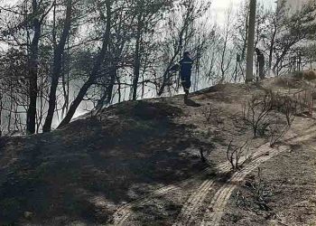 Άμεση κατάσβεση πυρκαγιάς στη Νταού Πεντέλης