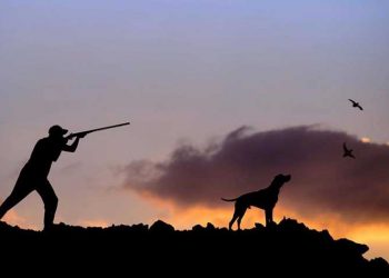 Σύλλογος «Ωρίων»: «Λανθασμένη η απαγόρευση του κυνηγιού λόγω Covid 19»