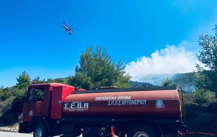 «Θετικός» ο απολογισμός της αντιπυρικής περιόδου