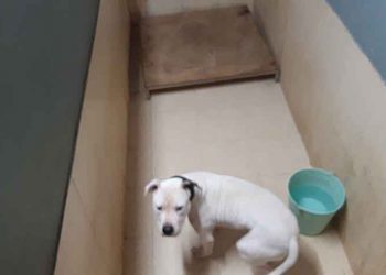 Τον ψάχνει κανείς;