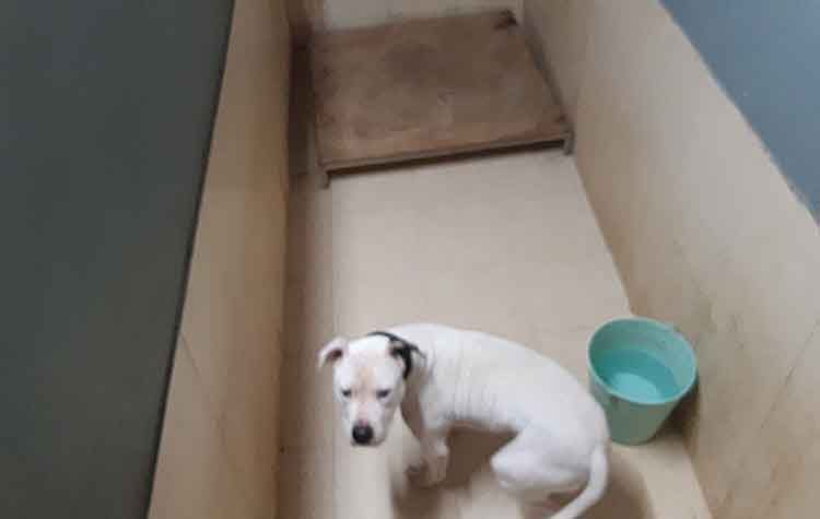 Τον ψάχνει κανείς;