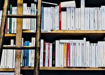 Το πείσμα του βιβλίου