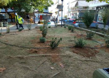 Νέες φυτεύσεις στην πόλη από την Υπηρεσία Πράσινου του Δήμου