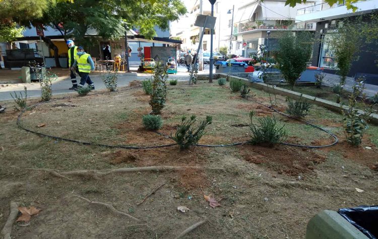 Νέες φυτεύσεις στην πόλη από την Υπηρεσία Πράσινου του Δήμου