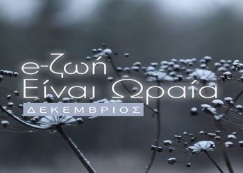 Γιορτινές δράσεις με το πρόγραμμα «e-ζωή είναι ωραία»