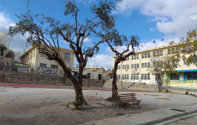 Σημαντική βελτίωση στις υποδομές και τον εξοπλισμό του ΕΠΑΛ Αλίμου