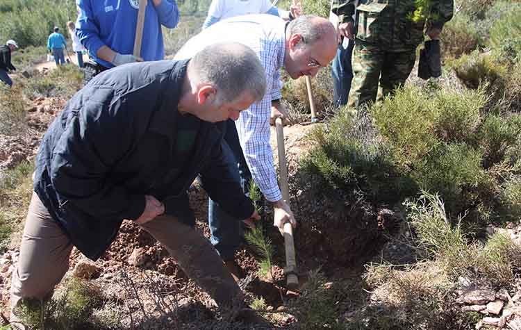 Υπουργείο Περιβάλλοντος: «Ξεκινά το μεγαλύτερο πρόγραμμα αναδασώσεων στην Ελλάδα»