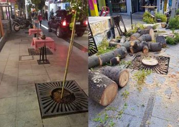 #Ενωμένο Μαρούσι: «Ζητούμε τριπλή παραίτηση του αντιδημάρχου Στέφανου Τσιπουράκη για τα κομμένα δέντρα»