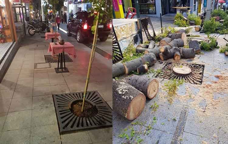 #Ενωμένο Μαρούσι: «Ζητούμε τριπλή παραίτηση του αντιδημάρχου Στέφανου Τσιπουράκη για τα κομμένα δέντρα»