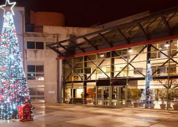 «Πλημμύρισε» με φως από το «Δέντρο της Αγάπης και της Προσφοράς» το Δημαρχείο