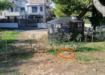 Αυθαιρεσίες ιδιώτη καταγγέλλει ο Σύλλογος Προστασίας Περιβάλλοντος Ρεματιάς Πεντέλης - Χαλανδρίου