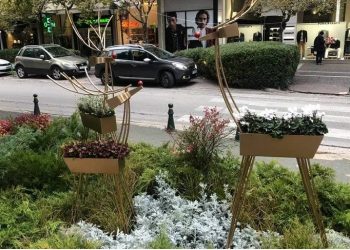 Χριστουγεννιάτικη σύνθεση λουλουδιών στο κέντρο της Κηφισιάς