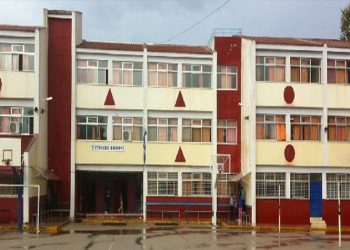 Ενέργειες καθαρισμού του αύλειου χώρου στο 1o Γυμνάσιο Νέας Μάκρης