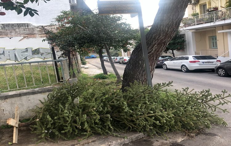 Ανακύκλωση φυσικών χριστουγεννιάτικών δέντρων στον Δήμο