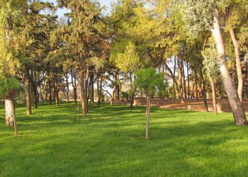 Άνοιξε δύο ημέρες νωρίτερα το Άλσος Νέας Σμύρνης