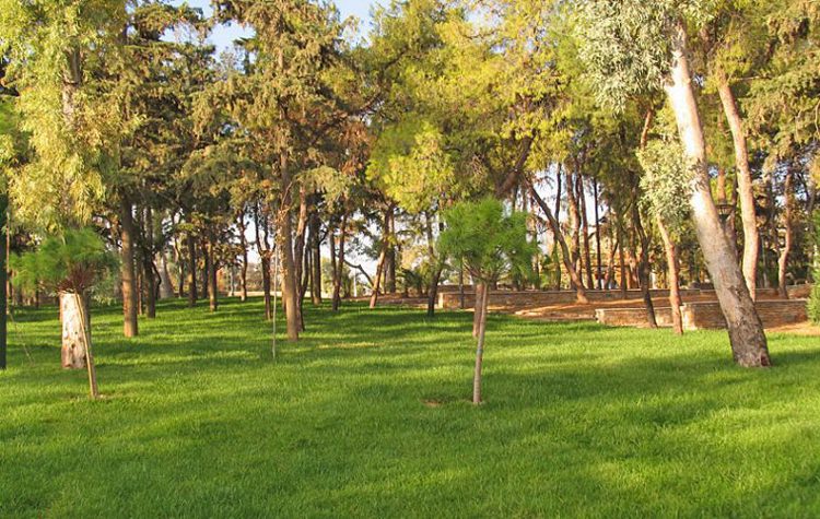 Άνοιξε δύο ημέρες νωρίτερα το Άλσος Νέας Σμύρνης