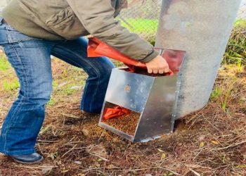 Ποτίστρες και ταΐστρες για τα αδέσποτα της Καλλιθέας