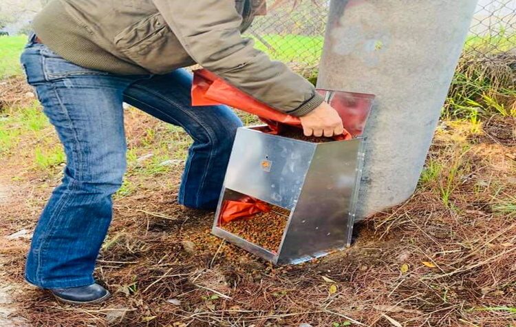 Ποτίστρες και ταΐστρες για τα αδέσποτα της Καλλιθέας