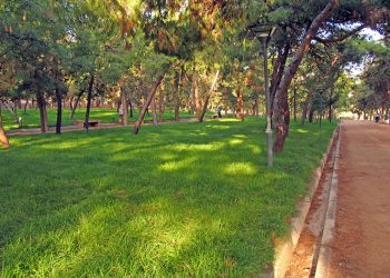 Κλειστό για μία εβδομάδα το Άλσος Νέας Σμύρνης