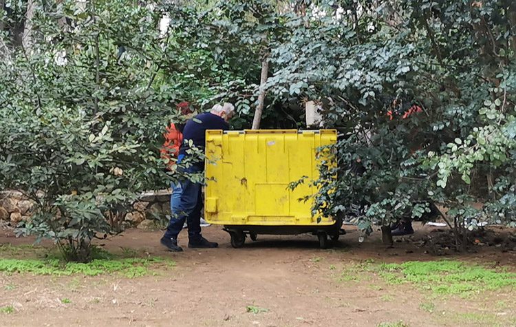 Διαρκείς καθαρισμοί του πάρκου Ιλισίων από την Υπηρεσία του Δήμου