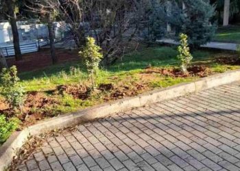 Ακόμη πιο πράσινο το πάρκο «Αλέξανδρου Παπάγου»