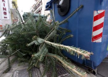 Δήμος Παπάγου - Χολαργού: «Κανένα χριστουγεννιάτικο δέντρο μέσα στους κάδους»
