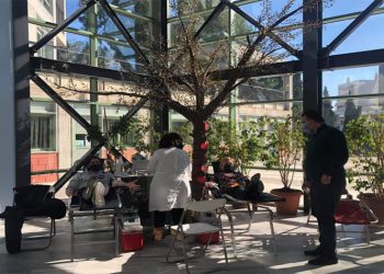 65 μονάδες αίμα συγκέντρωσε η εθελοντική αιμοδοσία του Δήμου