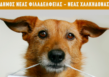 Βρες τον καλύτερό σου φίλο: Υιοθέτησε ένα αδέσποτο από το άλσος Νέας Φιλαδέλφειας