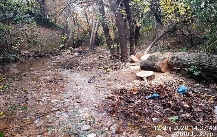 Καθαρισμός ρεμάτων και απομάκρυνση δέντρων