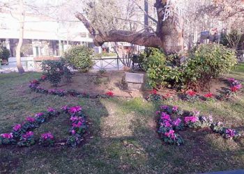 Δήμος Αμαρουσίου: «Συνεχής καθαριότητα και συντήρηση πρασίνου»