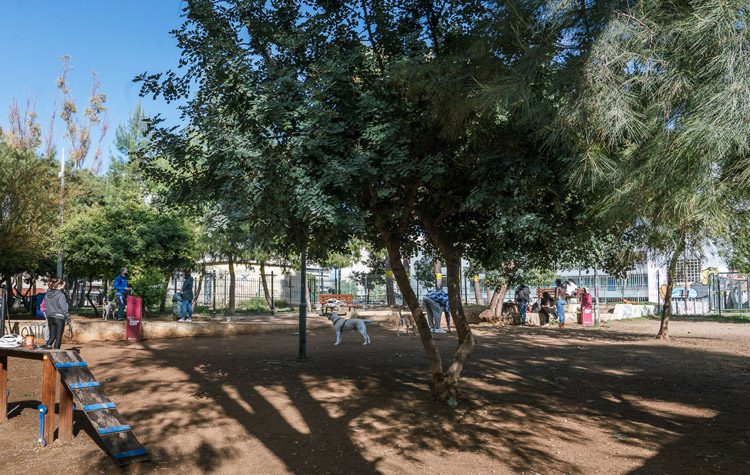 Έτοιμο το πρώτο πάρκο σκύλων στη Νέα Σμύρνη