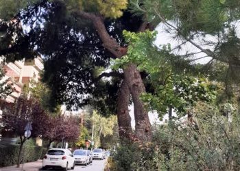 Λόγια ελπίδας από τα παιδιά του εργαστηρίου για τον Αντώνη Σαμαράκη