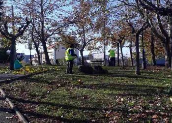 Σε πλήρη εξέλιξη η συντήρηση πρασίνου στις γειτονιές του Αμαρουσίου