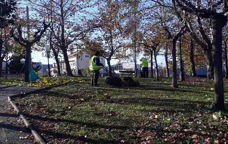 Σε πλήρη εξέλιξη η συντήρηση πρασίνου στις γειτονιές του Αμαρουσίου