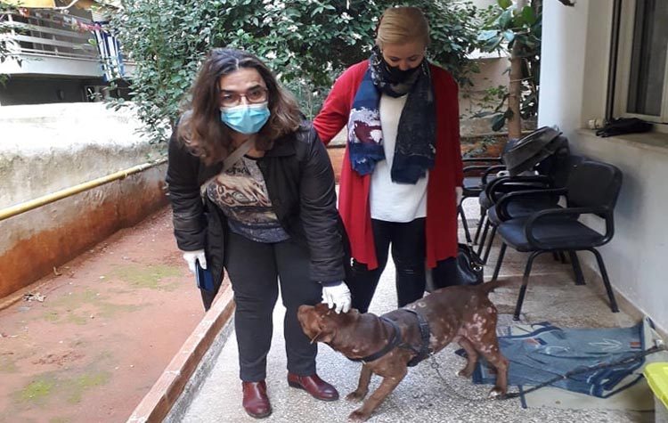 Απομάκρυνση σκύλου από ανθυγιεινό περιβάλλον μέσω Δήμου Νέας Σμύρνης