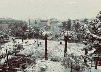 Ανδρέας Ευθυμίου: «Απόλυτη επιτυχία από τις υπηρεσίες του Δήμου στη ‘Μήδεια’»