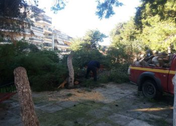 Γρηγόρης Κατωπόδης: «Ισχυρά αντανακλαστικά του Δήμου στην κακοκαιρία ‘Μήδεια’»